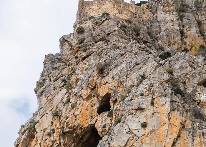 Appartement Liberty *